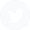 twitter icon